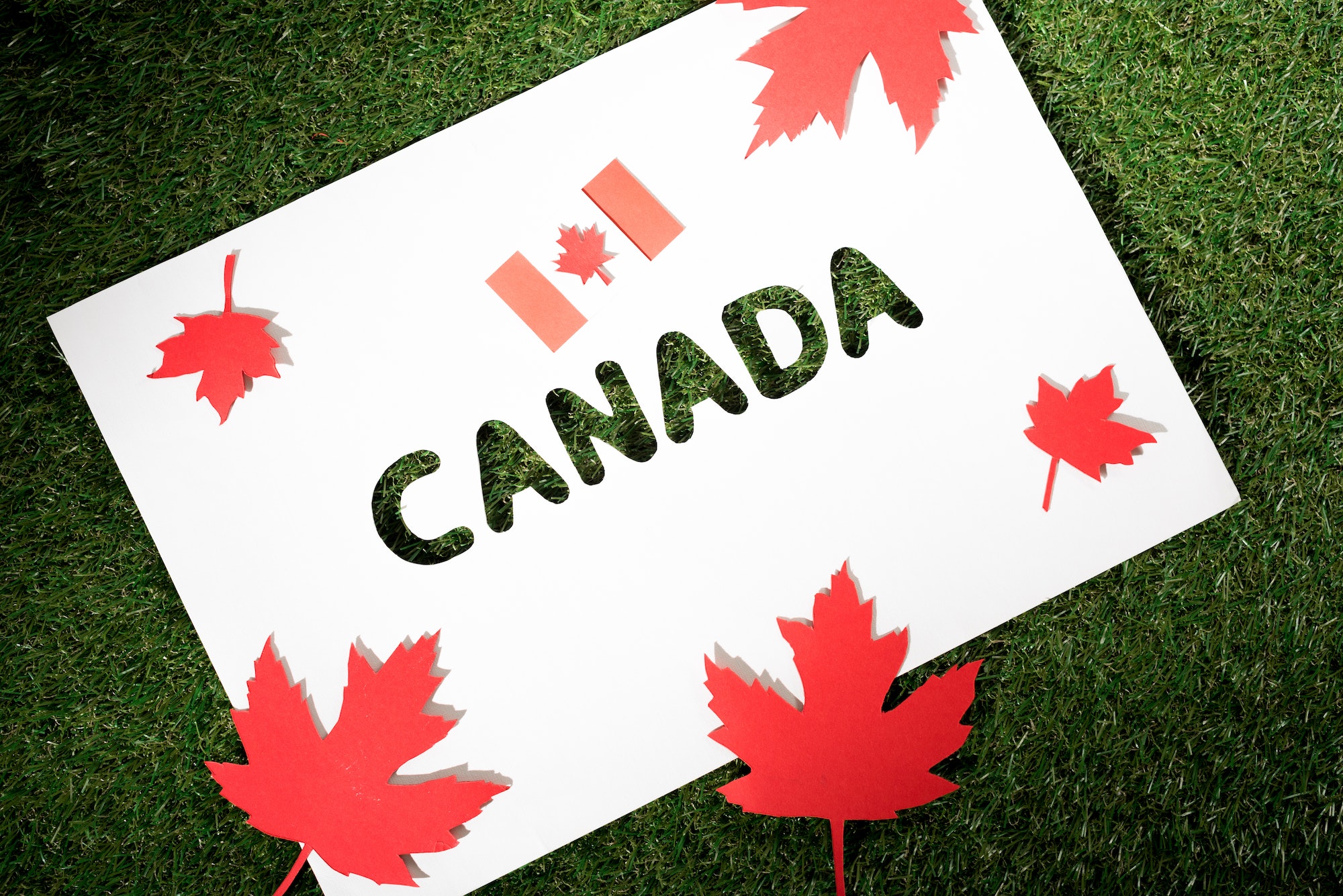 white board with cut out word 'canada' on green grass background with maple leaves and canadian