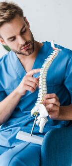 handsome doctor touching spine model while sitting in armchair